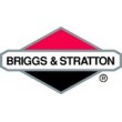 Briggs & Strattion - Jardicash