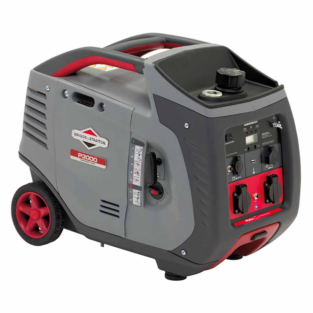 Groupe électrogène portable Inverter EU P308