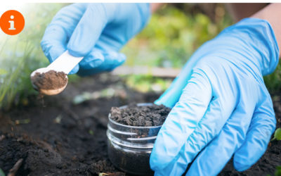 L’entretien du jardin en quelques leçons !